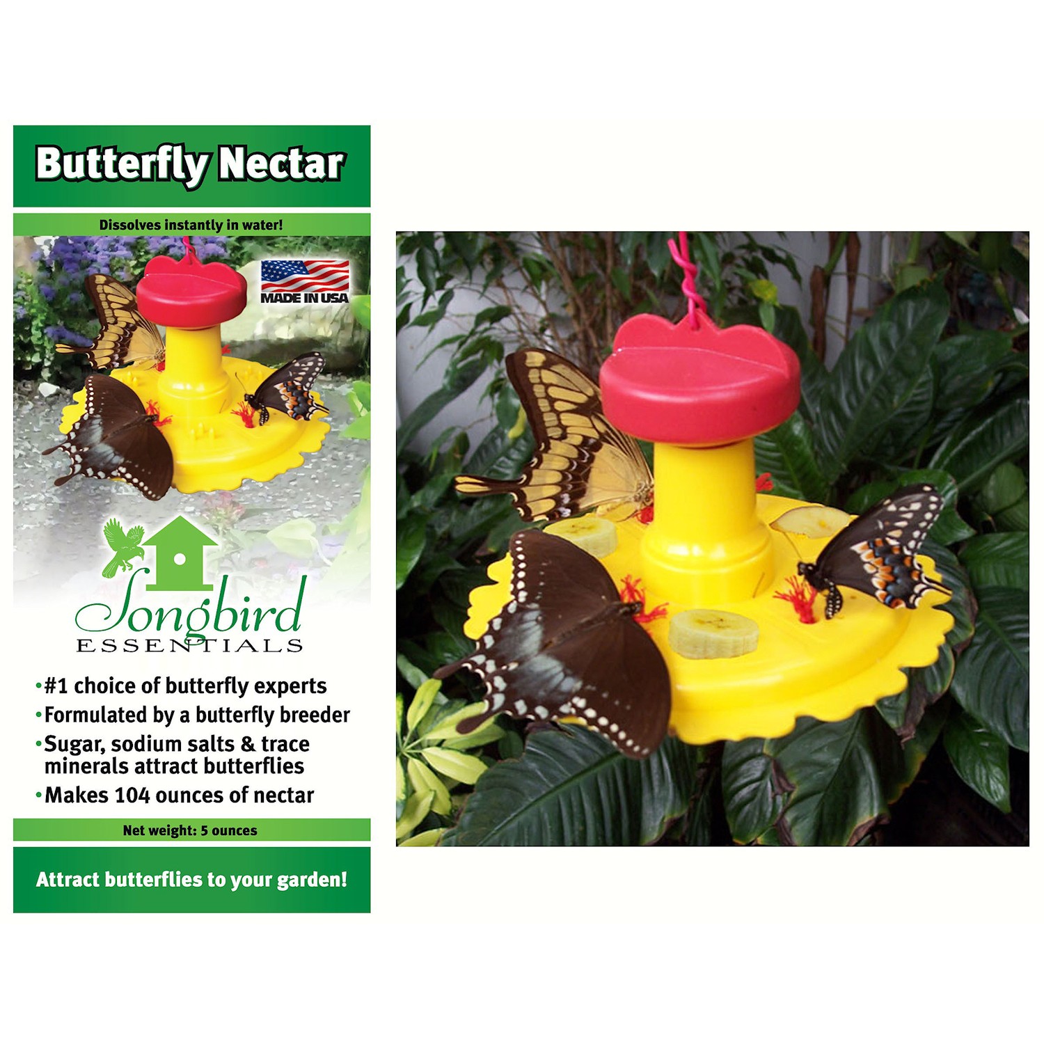 butterfly feeder sponge